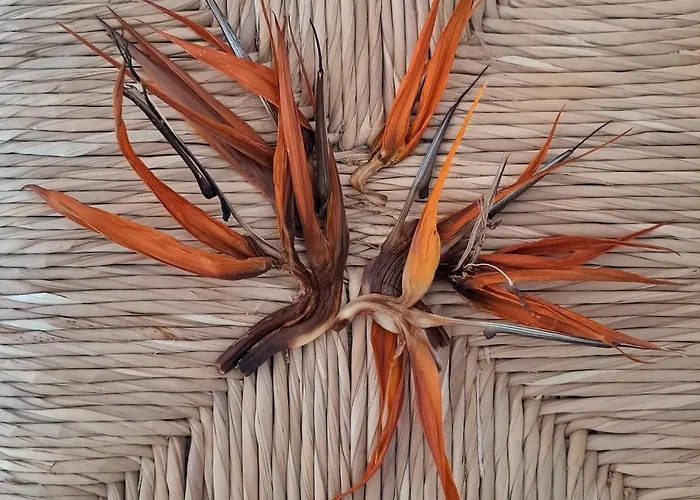 Casa de las Flores - Hotel Boutique Lanzarote